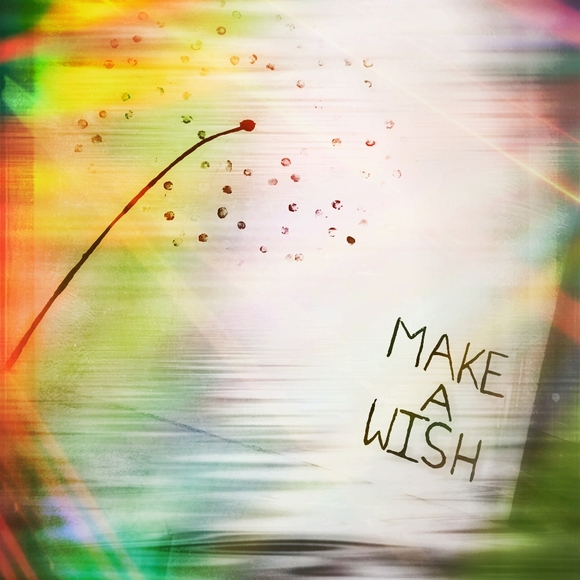 Meet your Posher, Lucinda - Picture 13 of 16